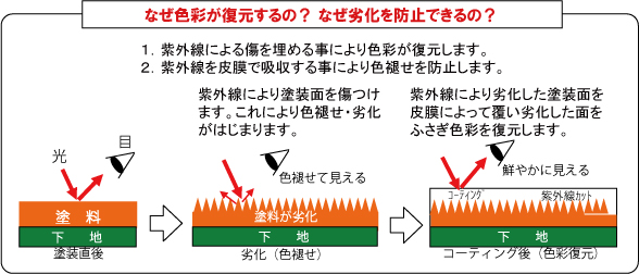 色褪せた軽自動車の塗装、白く粉をふいたような状態でした→色彩復元材brizoを塗り込むと鮮やかに下地の色が復元しました